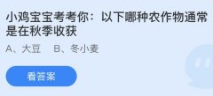 以下哪种农做物通季收成？蚂蚁庄园今日谜底最