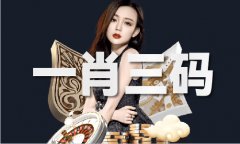 旺角wjvc正版材料