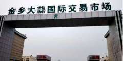 <b>山东金乡大蒜从产地天气波动引关心 暖冬或影响</b>